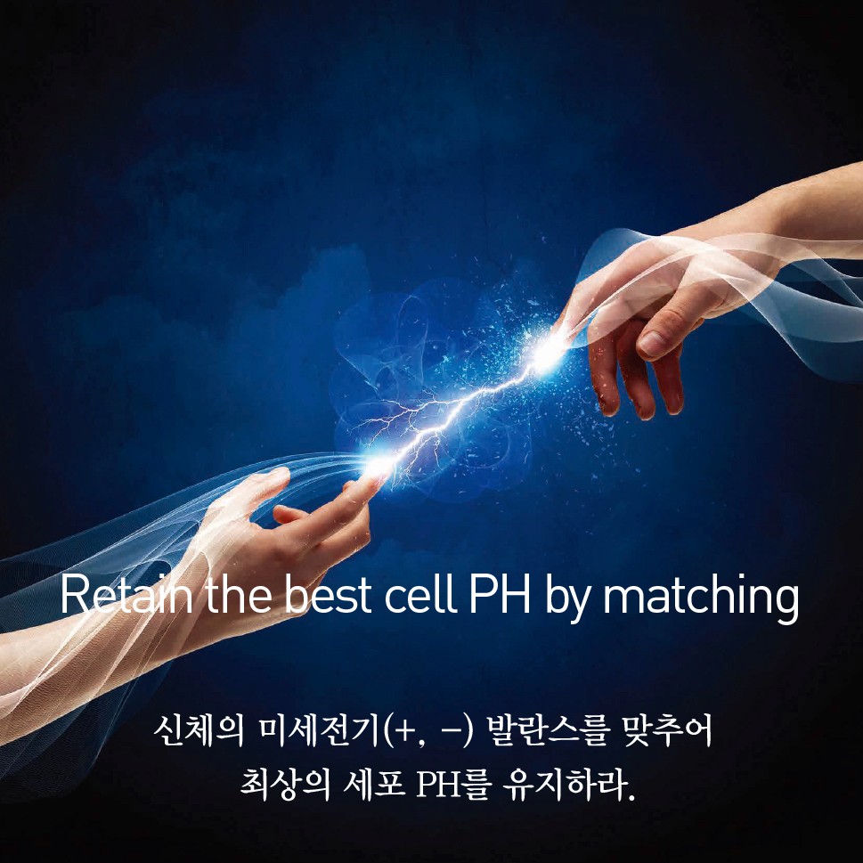 볼텍스 세도나 침구 상세 설명 이미지 5