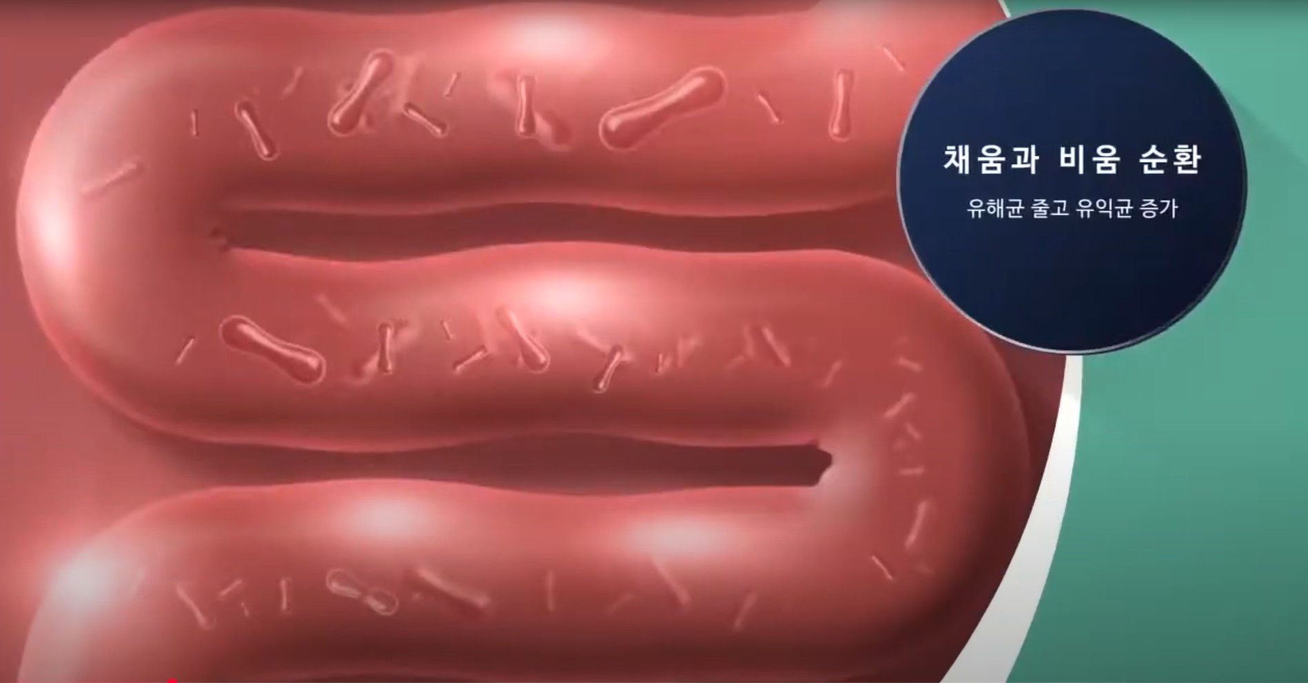 장속쾌청153 섭취 추천 대상 상세 안내 1